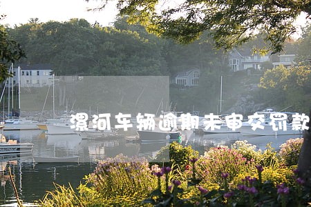 漯河车辆逾期未审交罚款 漯河车辆逾期未审交罚款