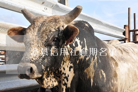 漳县信用社逾期名单 漳县信用社逾期名单