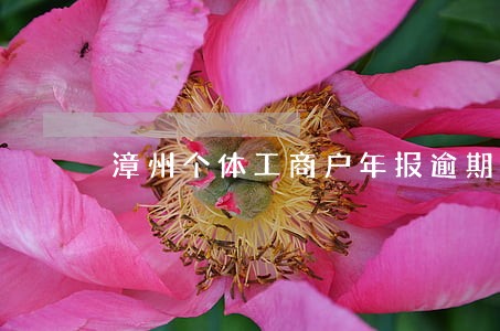 漳州个体工商户年报逾期申报 漳州个体工商户年报逾期申报