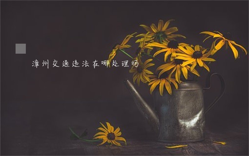 漳州交通违法在哪处理吗