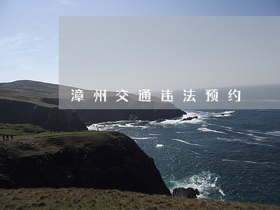 漳州交通违法预约 漳州交通违法预约