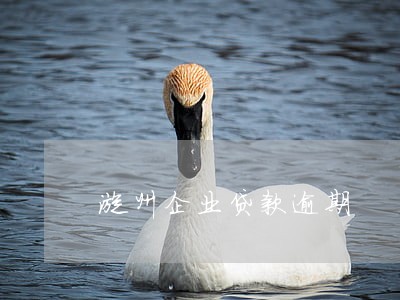 漳州企业贷款逾期 漳州企业贷款逾期