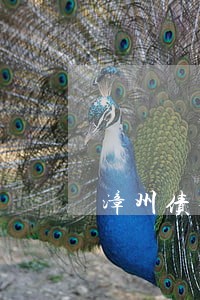 漳州债务债权律师有哪些 漳州债务债权律师有哪些