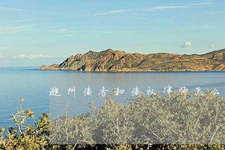 漳州债务和债权律师怎么找 漳州债务和债权律师怎么找