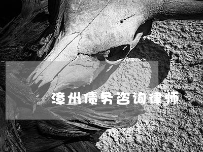 漳州债务咨询律师 漳州债务咨询律师