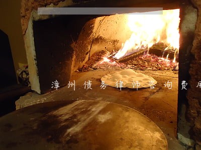 漳州债务律师咨询费用 漳州债务律师咨询费用