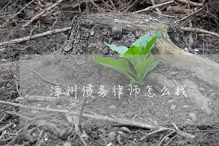 漳州债务律师怎么找 漳州债务律师怎么找