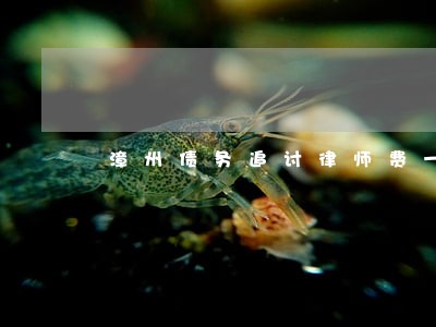 漳州债务追讨律师费一般是多少 漳州债务追讨律师费一般是多少