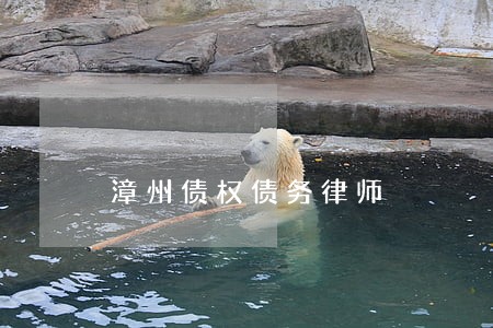 漳州债权债务律师 漳州债权债务律师