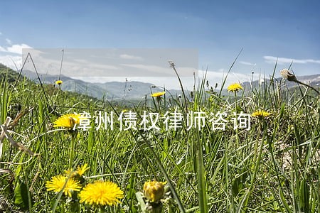漳州债权律师咨询 漳州债权律师咨询