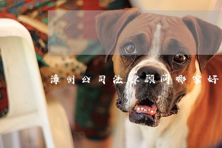 漳州公司法律顾问哪家好 漳州公司法律顾问哪家好