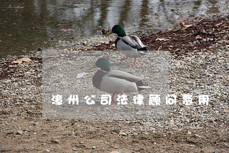 漳州公司法律顾问费用 漳州公司法律顾问费用