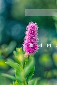 漳州内部法律顾问报价 漳州内部法律顾问报价