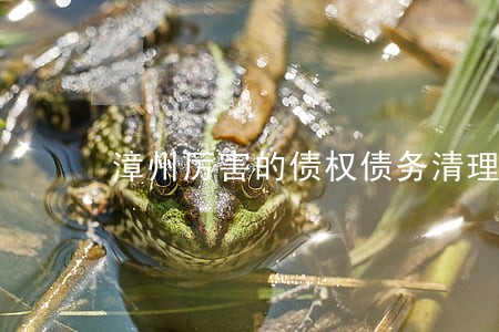 漳州厉害的债权债务清理律师 漳州厉害的债权债务清理律师