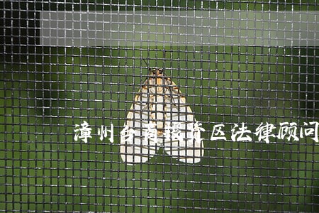 漳州台商投资区法律顾问在线律师 漳州台商投资区法律顾问在线律师