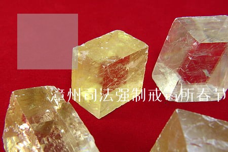 漳州司法强制戒毒所春节