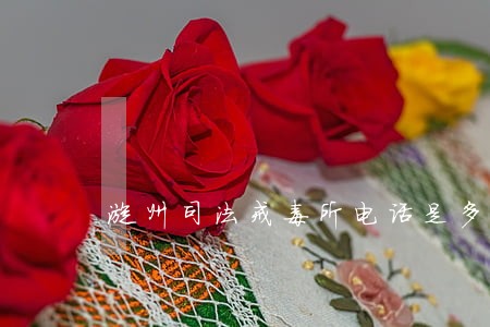 漳州司法戒毒所电话是多少钱 漳州司法戒毒所电话是多少钱