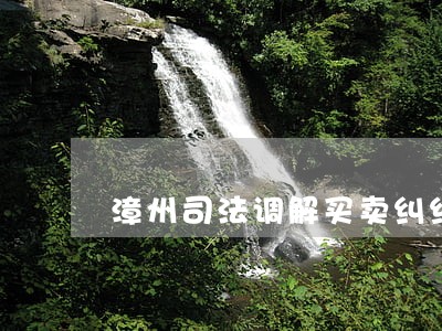 漳州司法调解买卖纠纷
