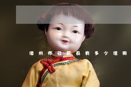 漳州市云霄县有多少信用卡逾期