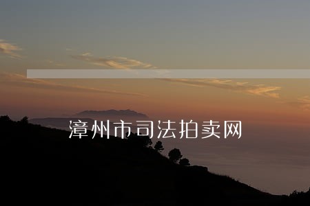 漳州市司法拍卖网 漳州市司法拍卖网