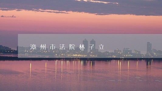 漳州市法院林子立