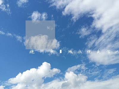 漳州市芗城法院失信人