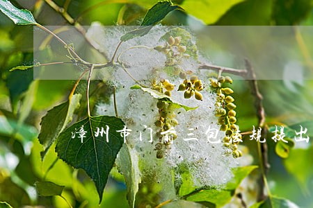 漳州市门前三包法规提出背景