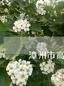 漳州市高速交警违法处理