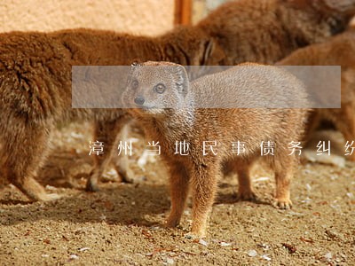 漳州当地民事债务纠纷律师诉讼费 漳州当地民事债务纠纷律师诉讼费