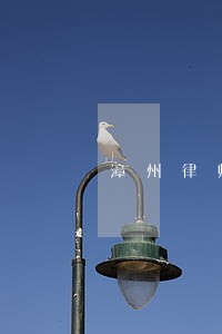漳州律师询问函多少钱 漳州律师询问函多少钱