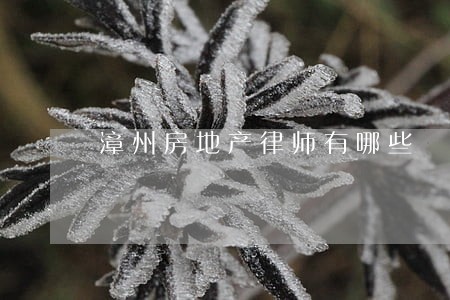漳州房地产律师有哪些 漳州房地产律师有哪些