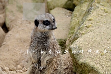 漳州抚养权纠纷律师收费 漳州抚养权纠纷律师收费