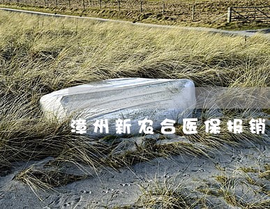 漳州新农合医保报销法规