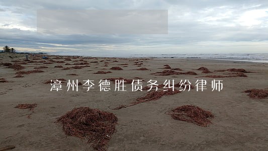 漳州李德胜债务纠纷律师 漳州李德胜债务纠纷律师