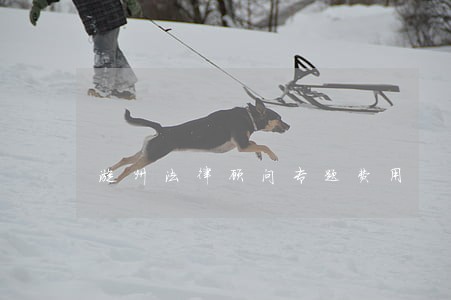 漳州法律顾问专题费用 漳州法律顾问专题费用