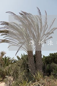 漳州法律顾问事务咨询 漳州法律顾问事务咨询
