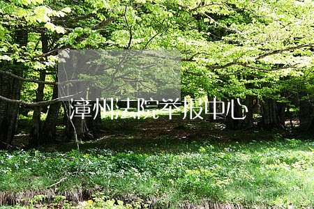 漳州法院举报中心
