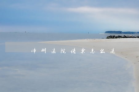漳州法院传票怎么送