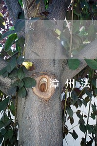 漳州法院吹响宪法宣传周号角 漳州法院吹响宪法宣传周号角