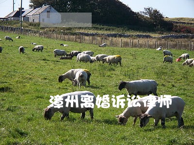 漳州离婚诉讼律师 漳州离婚诉讼律师