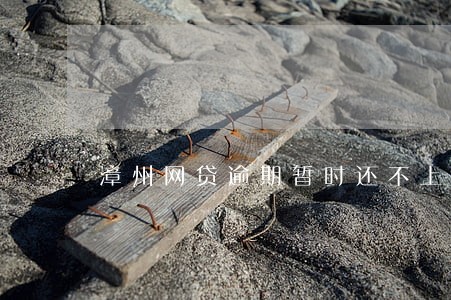 漳州网贷逾期暂时还不上怎么办 漳州网贷逾期暂时还不上怎么办