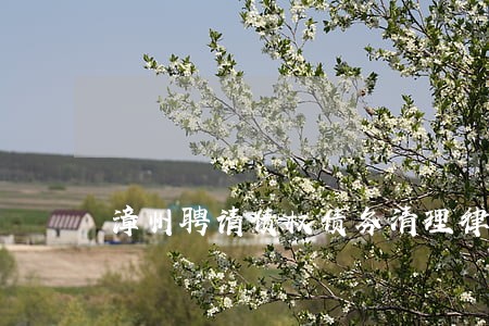 漳州聘请债权债务清理律师 漳州聘请债权债务清理律师