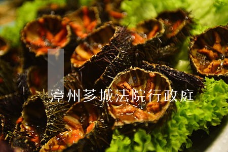 漳州芗城法院行政庭 漳州芗城法院行政庭