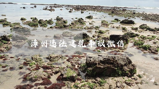 漳州违法建筑举报微信 漳州违法建筑举报微信