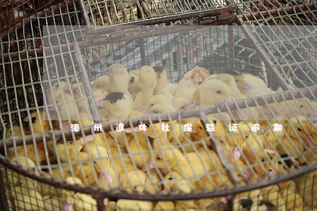 漳州退休社保验证逾期 漳州退休社保验证逾期