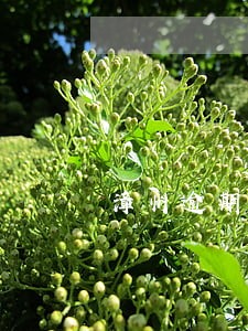 漳州逾期贷款公司 漳州逾期贷款公司