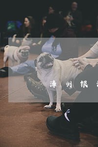 漳州银海法律咨询