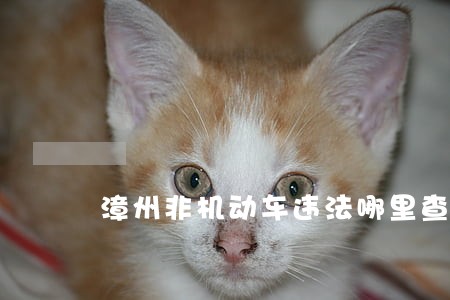 漳州非机动车违法哪里查询 漳州非机动车违法哪里查询