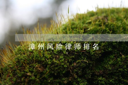 漳州风险律师排名