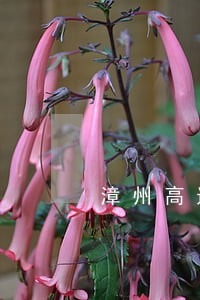 漳州高速违法处理窗口
